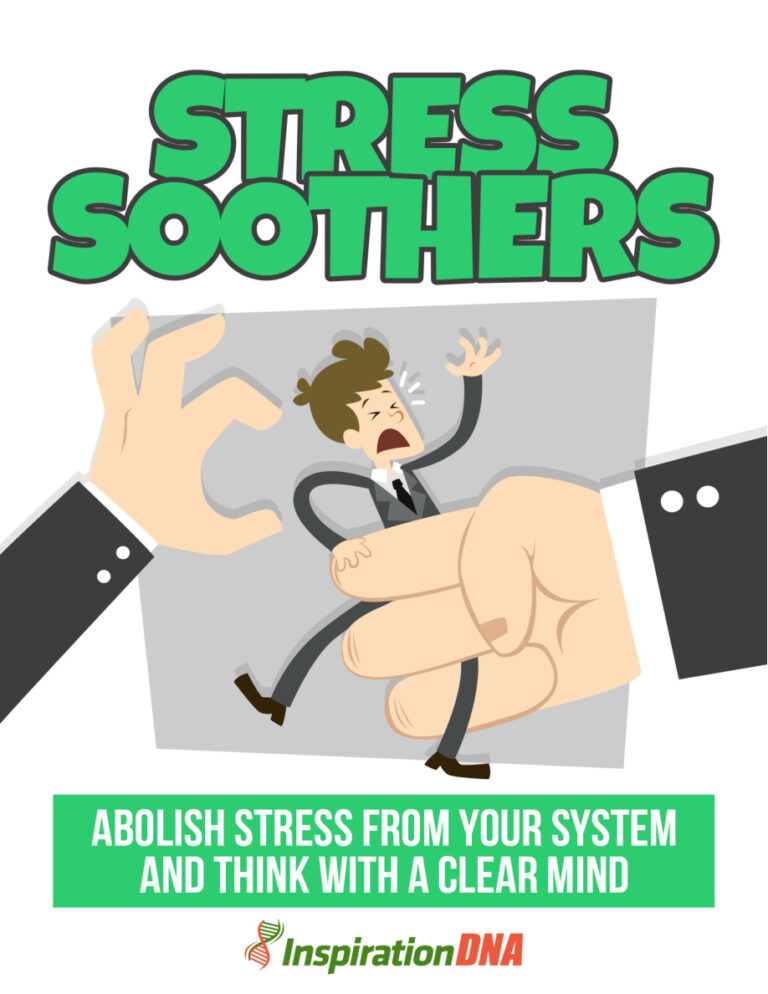 Stress Soothers PDF Download – Unknown Author