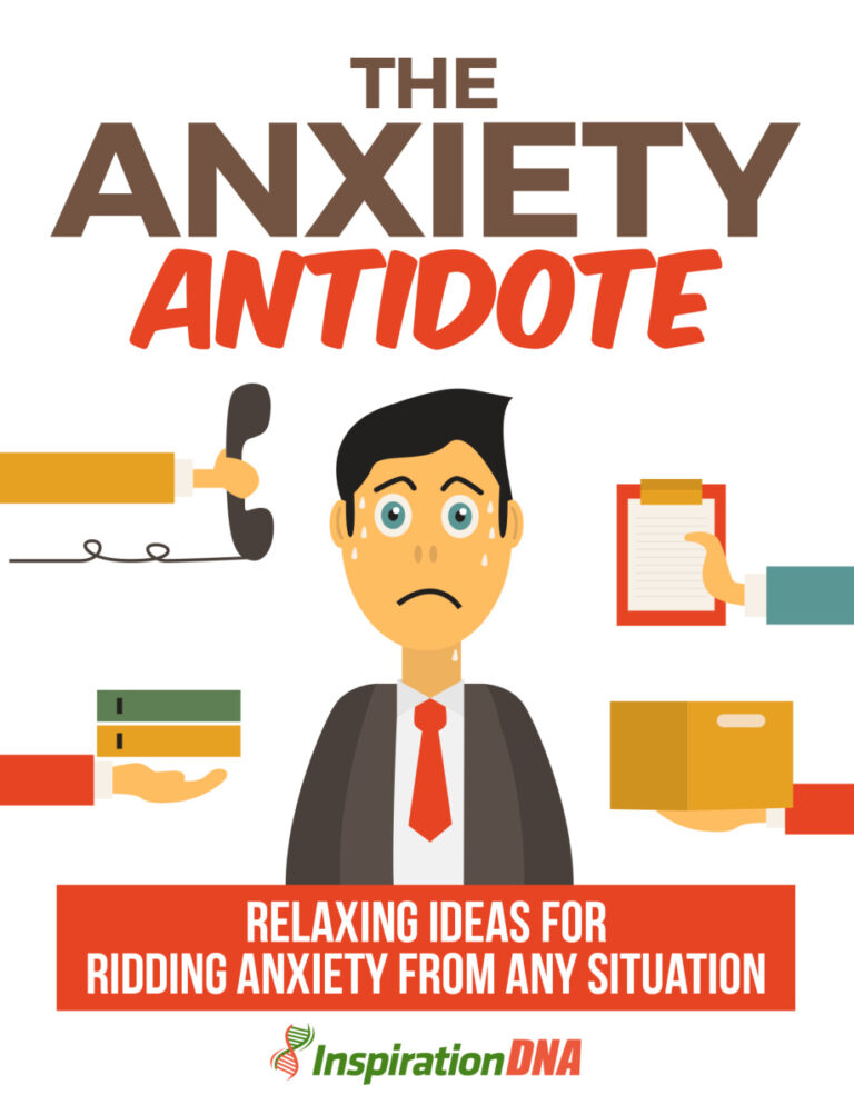 The Anxiety Antidote PDF Download – Unknown Author