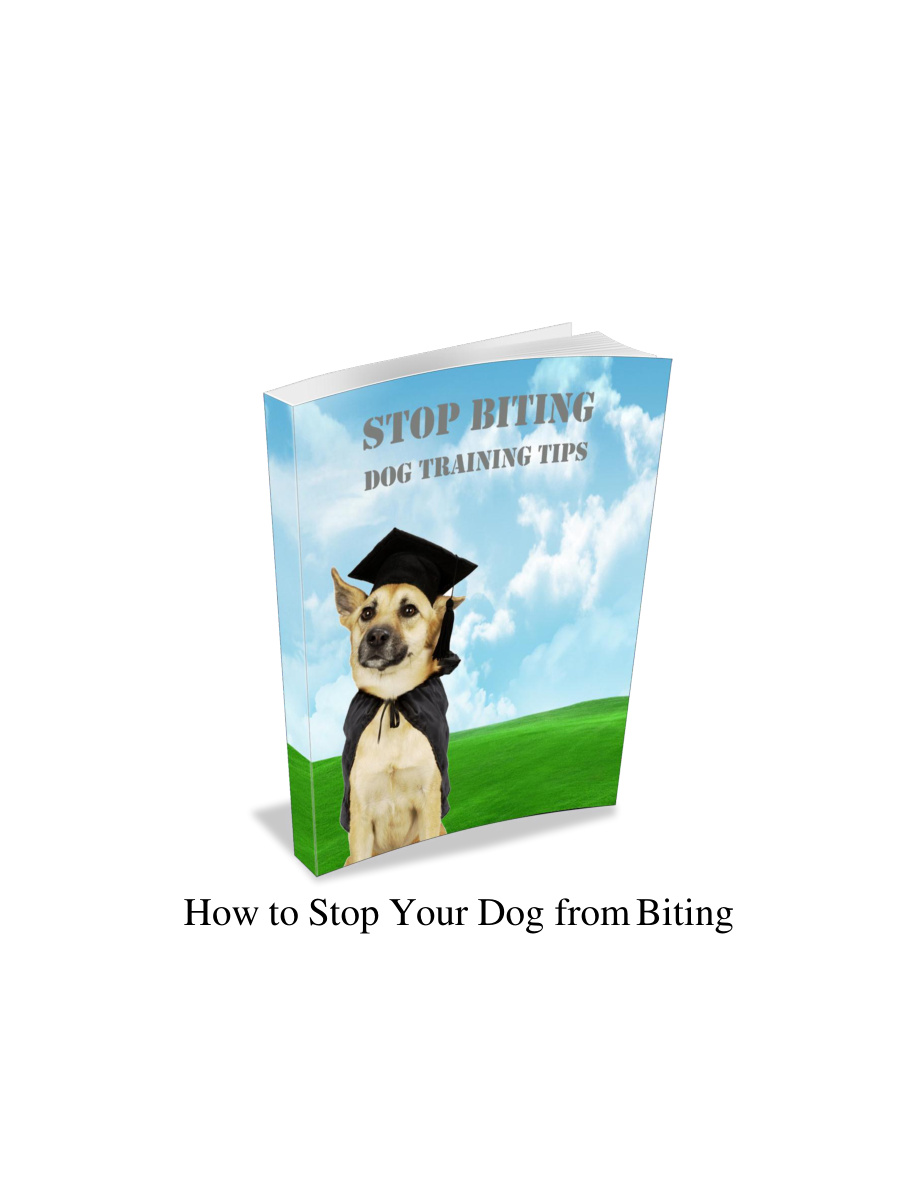 How to Stop Your Dog from Biting PDF Download