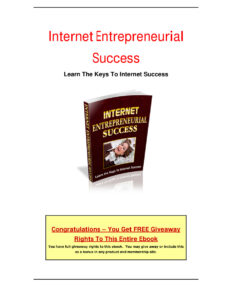 6822f4af482a2 internet entrepreneurial success learn the keys to internet success Kitap Kapağı