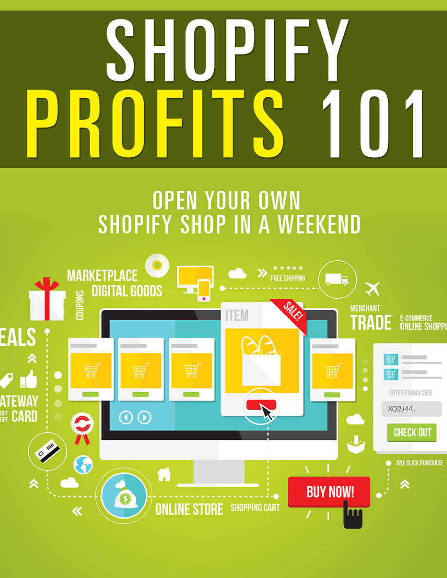 Shopify Profits 101 PDF Download