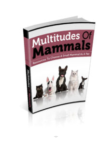 683d690d62afb multitudes of mammals resources to choose a small mammal as a pet Kitap Kapağı