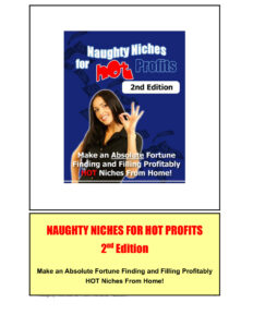 683e8444c1d5d naughty niches for hot profits 2 nd edition make an absolute fortune finding and filling profitably hot niches from home Kitap Kapağı
