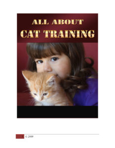684142c24e06c all about car what you need to about car Kitap Kapağı