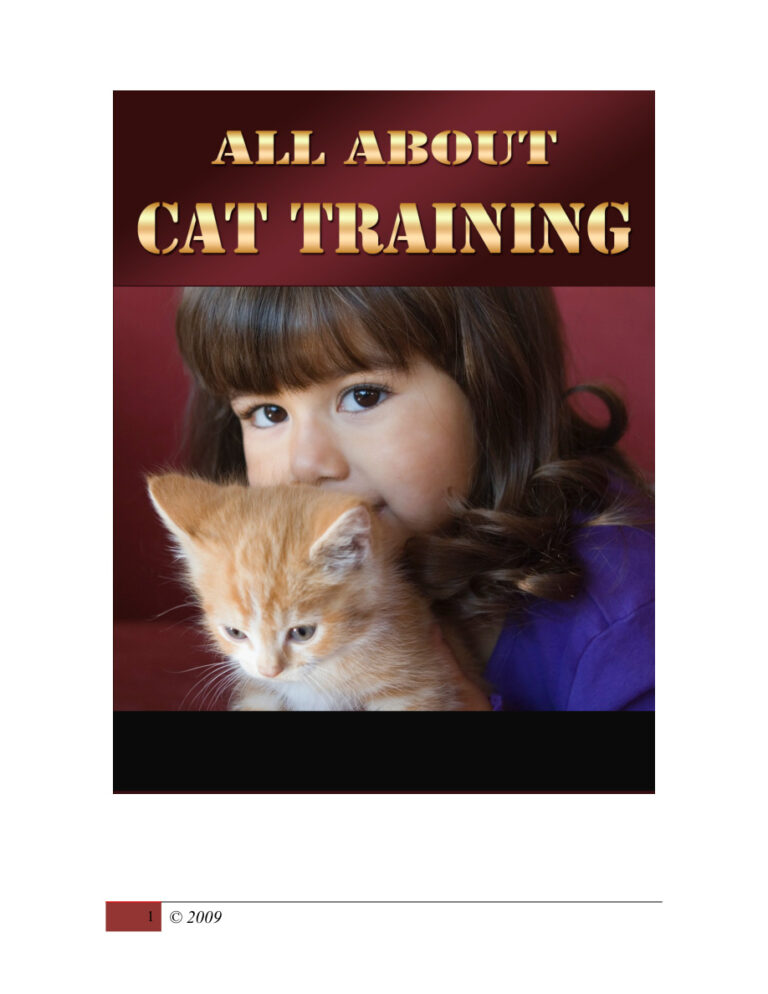 All About Car PDF Download – Unknown Author
