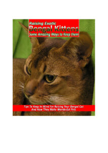 684151eaaf6b9 raising exotic bengal kittens some amazing ways to keep them Kitap Kapağı