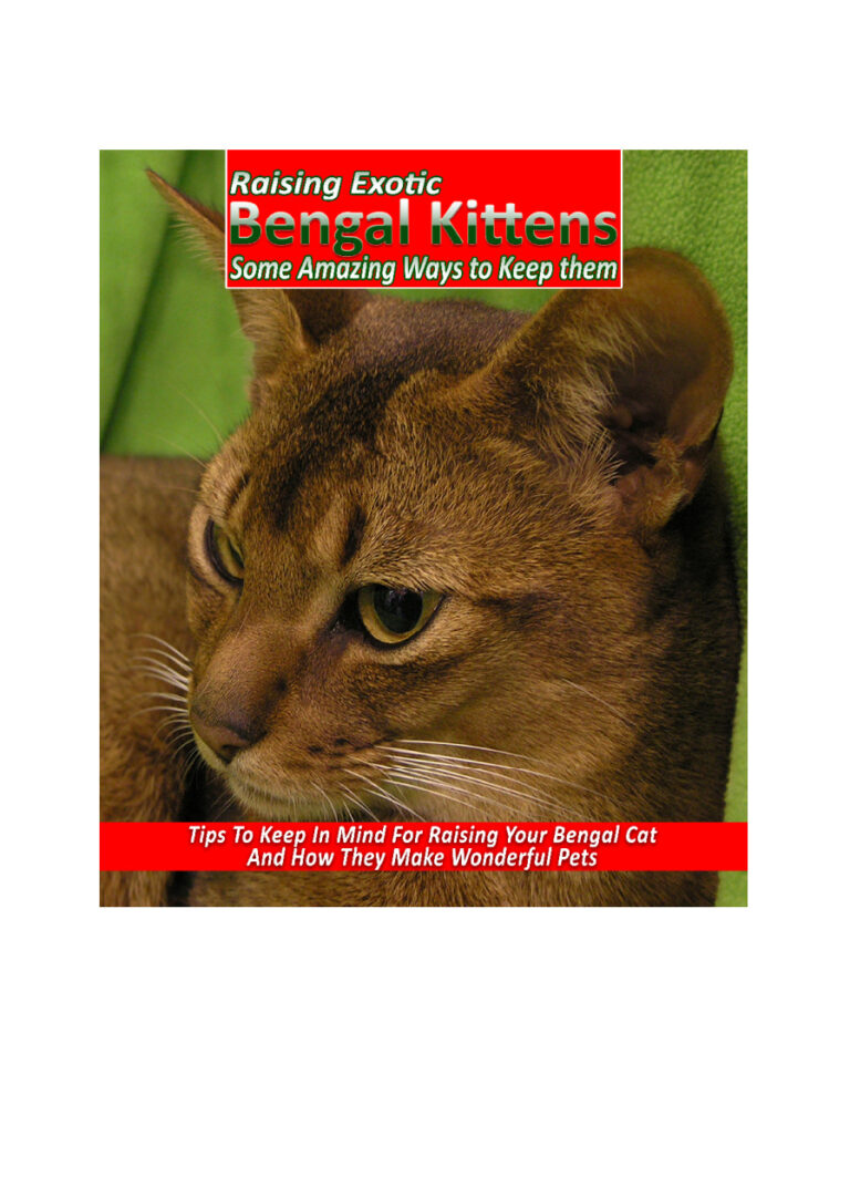 684151eaaf6b9 raising exotic bengal kittens some amazing ways to keep them Kitap Kapağı