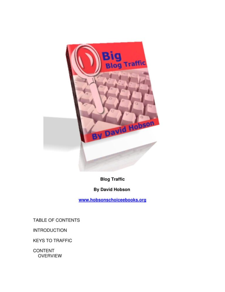 Big Blog Traffic PDF Download – Unknown Author