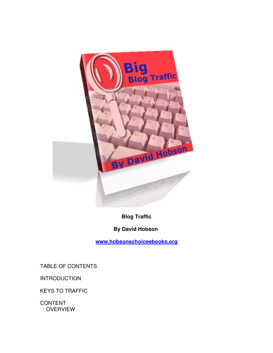Big Blog Traffic PDF Download