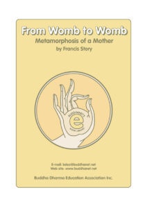 6844b54f6e940 from womb to womb to womb metamorphosis of a mother Kitap Kapağı