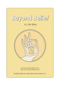 68458133333af beyond belief a buddhist critique of fundamentalist christianity Kitap Kapağı