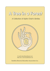 68458a4a5abcf a tree in a forest Kitap Kapağı