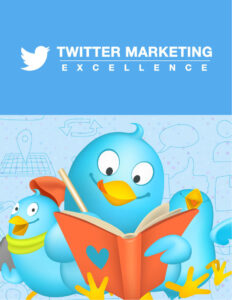 684971a20ef82 twitter marketing excellence Kitap Kapağı