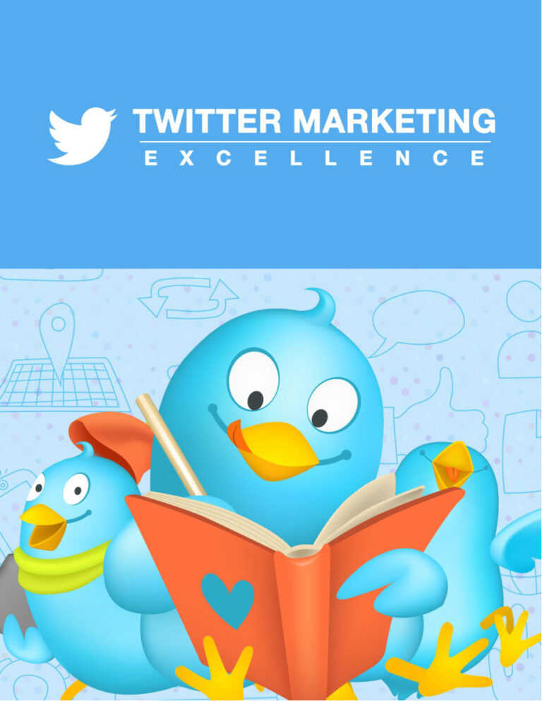 Twitter Marketing Excellence PDF Download – Unknown Author