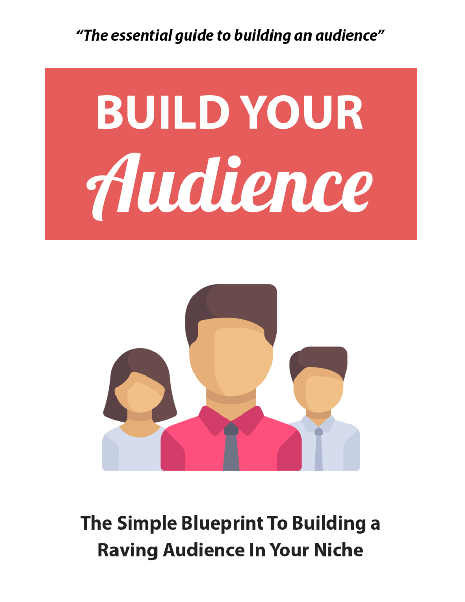 Build Your Audience PDF Download