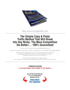 684d877a8605e the traffic hybrid system find your blueprint to success Kitap Kapağı