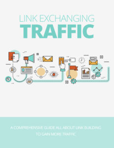 684ec0f842f43 link exchanging traffic a comprehensive guide all about link building to gain more traffic Kitap Kapağı