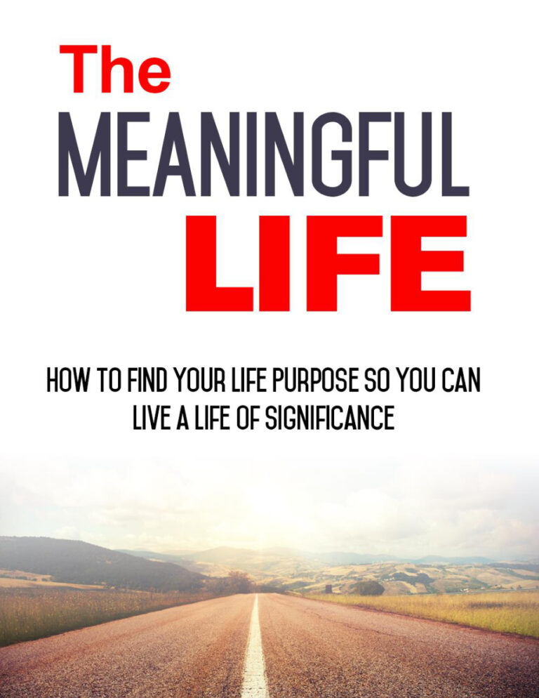 6851535bb380b the meaningful life how to find your life purpose so you can live a life of significance Kitap Kapağı
