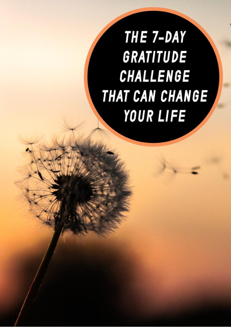 The 7-Day Gratitude Challenge PDF Download – Unknown Author