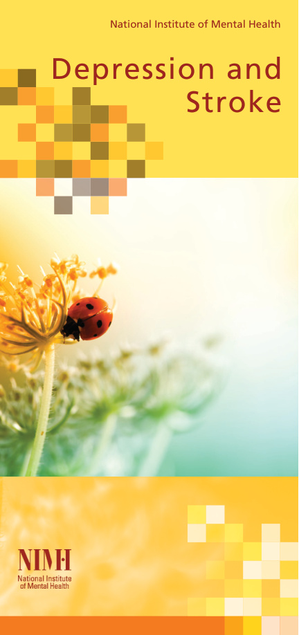 Depression and Stroke PDF Download – Unknown Author