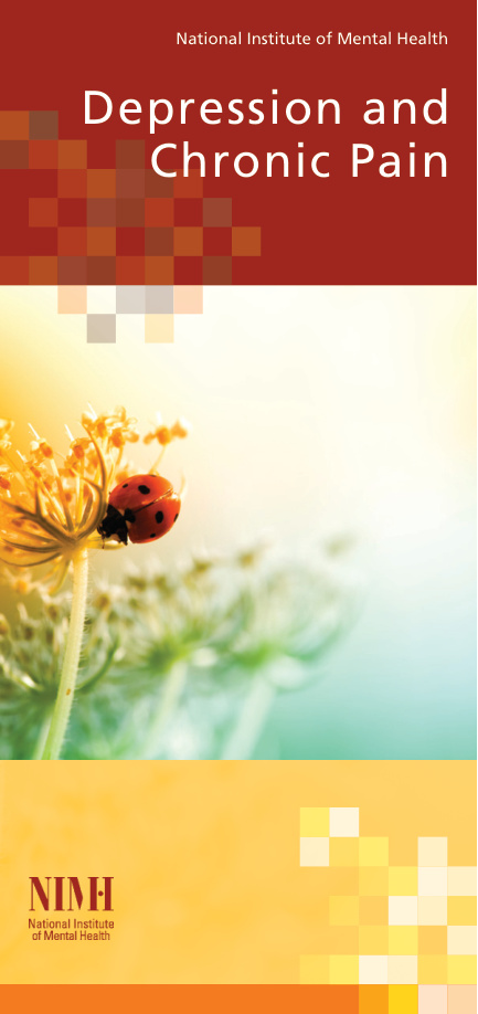 Depression and Chronic Pain PDF Download – Unknown Author