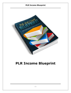 686a16f79d788 plr income blueprint Kitap Kapağı