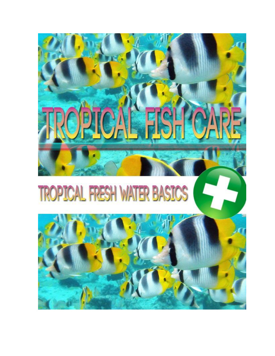 Tropical Fish Care PDF Download