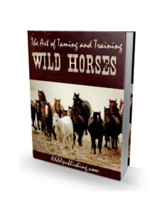 686bd9709ef15 the art of taming and training wild horses Kitap Kapağı