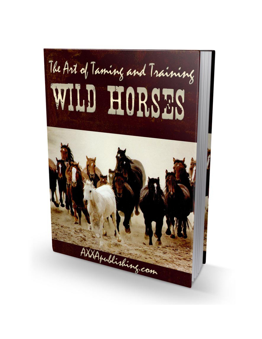 The Art of Taming and Training Wild Horses PDF Download
