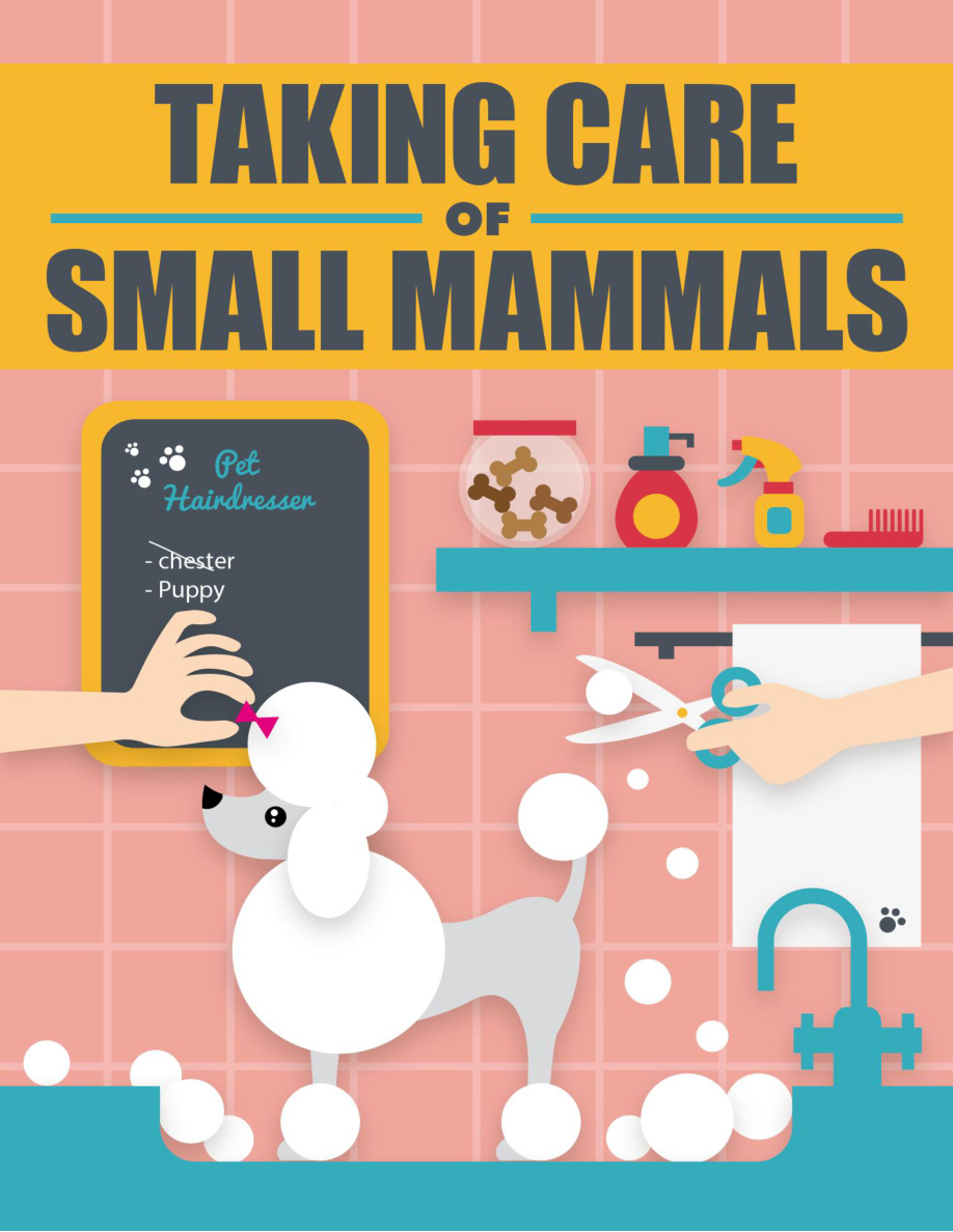 Taking Care of Small Mammals PDF Download