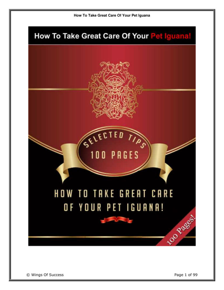 686bdda1b7bd9 take great care of your pet iguana with these selected tips Kitap Kapağı