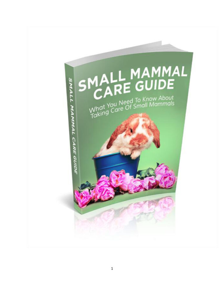 686be14065378 small mammal care guide what you need to know about taking care of small mammals Kitap Kapağı