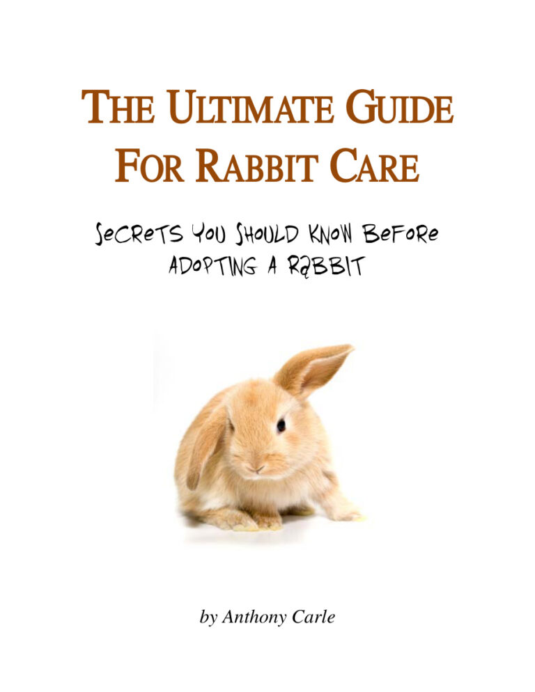 686be9e01a44f the ultimate guide for rabbit care secrets you should know before adopting a rabbit Kitap Kapağı