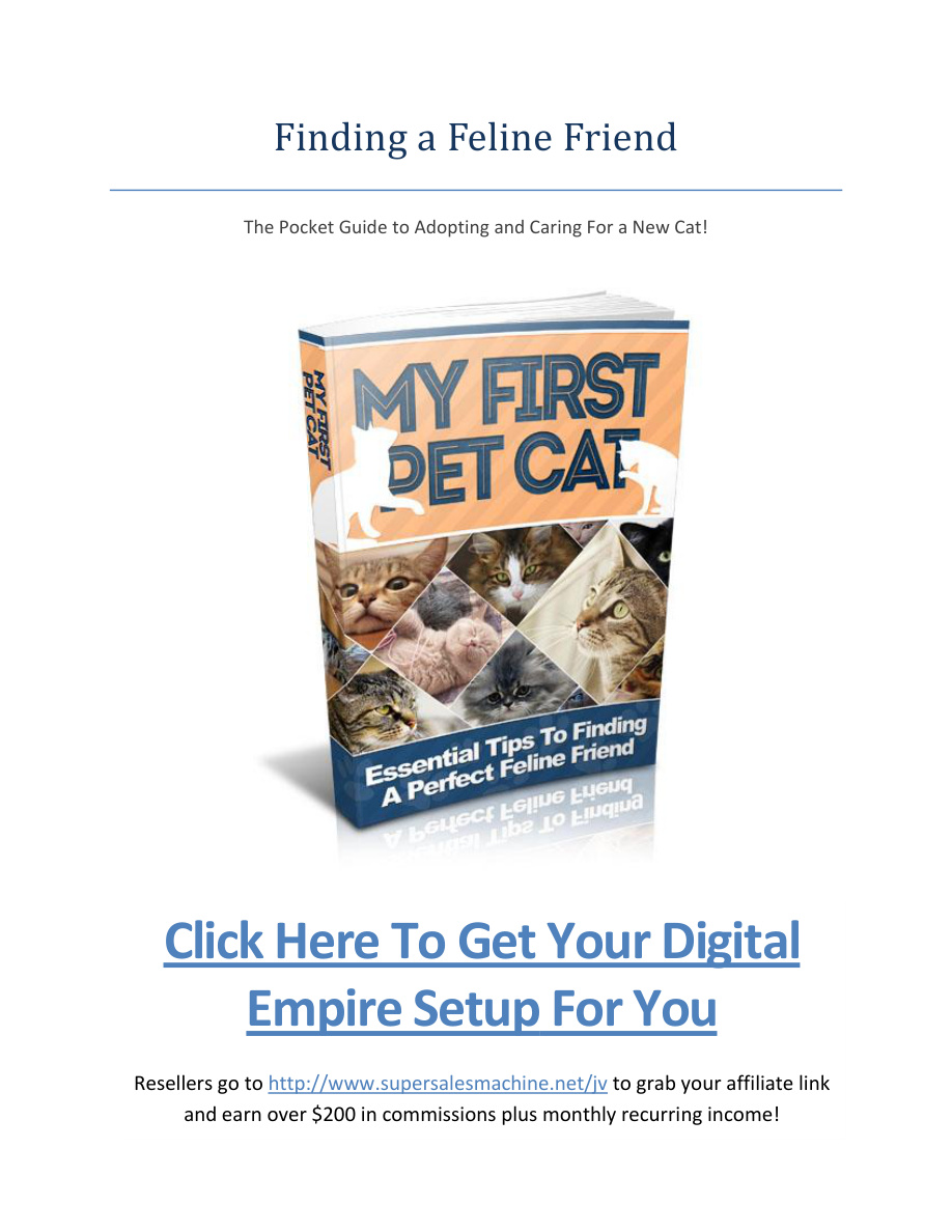 My First Pet Cat PDF Download