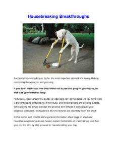 686cf0eec1136 housebreaking breakthroughs Kitap Kapağı