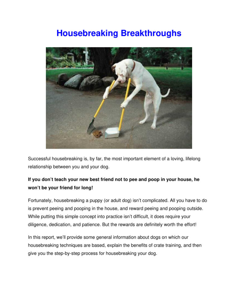 686cf0eec1136 housebreaking breakthroughs Kitap Kapağı
