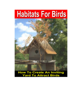 686d0ab8bf49a habitats for birds how to creating an inviting yard to attract birds Kitap Kapağı
