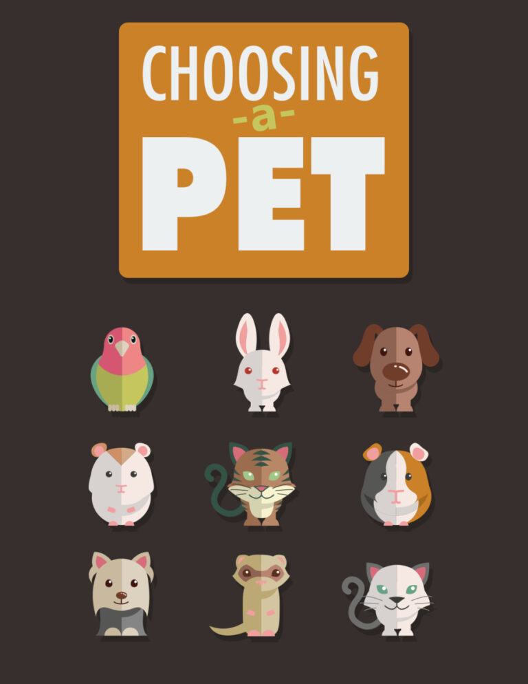 686d5fe262396 choosing a pet Kitap Kapağı