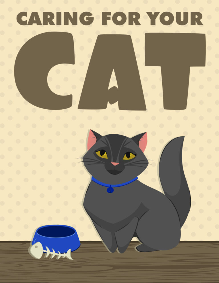 686d635f20751 caring for your cat Kitap Kapağı