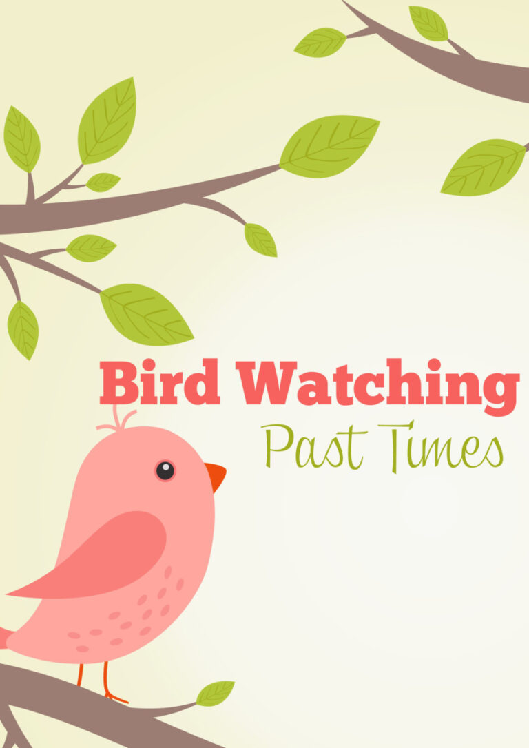 686d913bc7e7d bird watching past times Kitap Kapağı