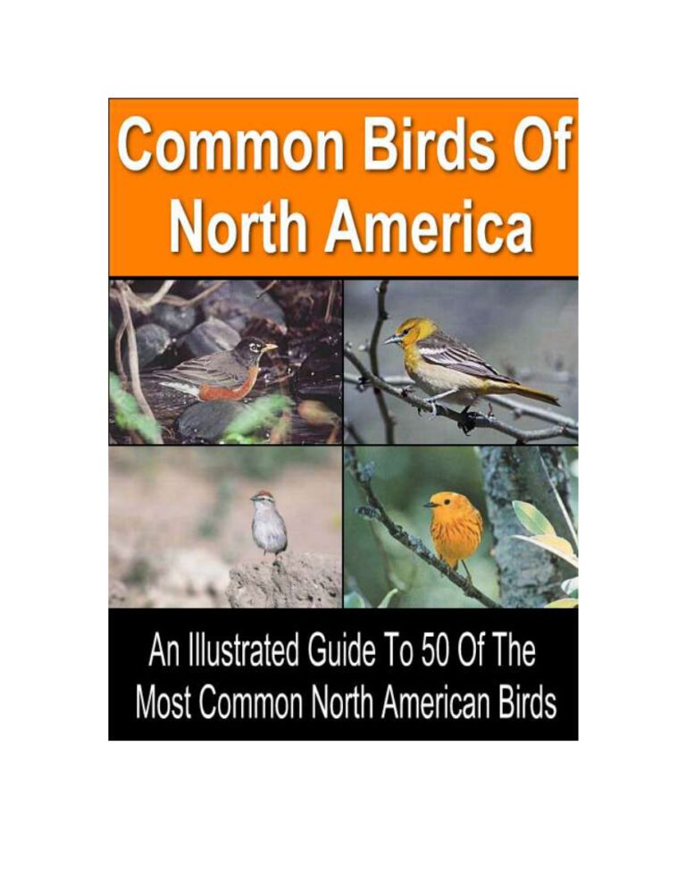 50 Common Birds of North America PDF Download – Unknown Author