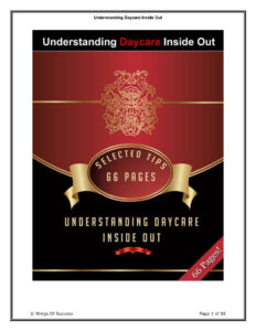 686e48fcef8ce understanding daycare inside out Kitap Kapağı