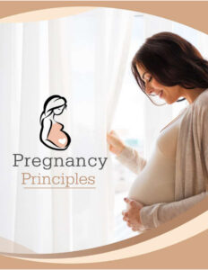 6870098b61954 pregnancy principles Kitap Kapağı