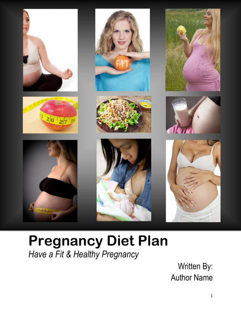 Pregnancy Diet Plan PDF Download – Unknown Author