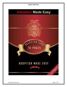 687567fce04ec adoption made easy Kitap Kapağı