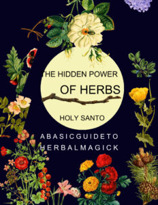 6876bbcd13852 the hidden power of herbs a basic guide to herbal magick Kitap Kapağı