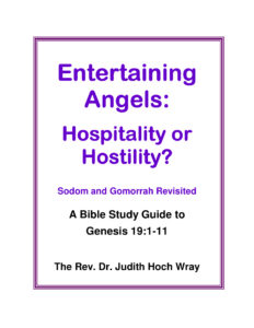 68790dde710b7 entertaining angels angels hospitality or hostility Kitap Kapağı
