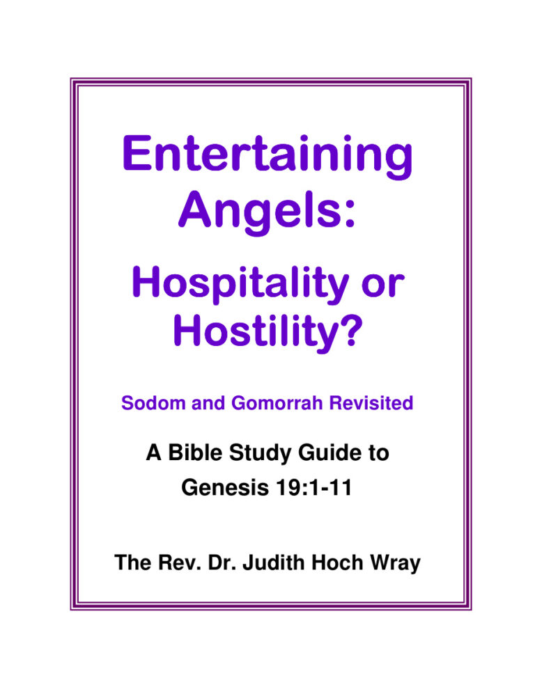 68790dde710b7 entertaining angels angels hospitality or hostility Kitap Kapağı