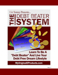 687a9861b0dc4 the debt beater system Kitap Kapağı