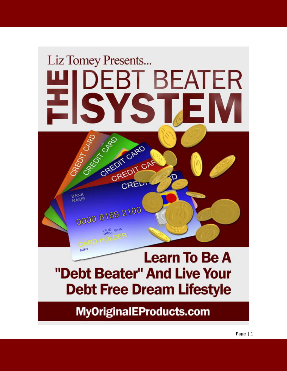 The Debt Beater System PDF Download